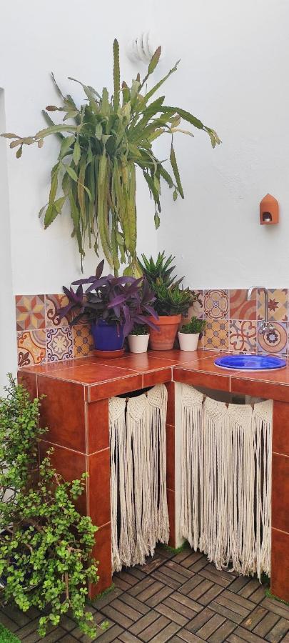 La Barrosa Duplex Villa Chiclana de la Frontera Exteriör bild