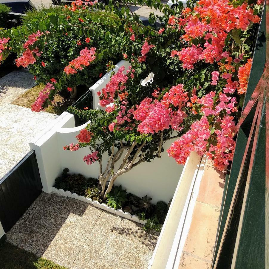 La Barrosa Duplex Villa Chiclana de la Frontera Exteriör bild