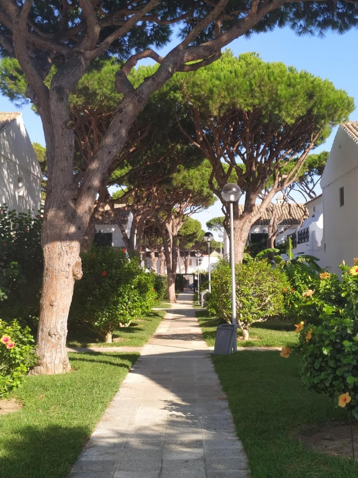 La Barrosa Duplex Villa Chiclana de la Frontera Exteriör bild